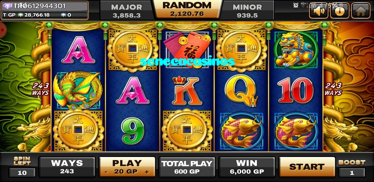 available types of senecacasinos bet including pre-match live express and system bets